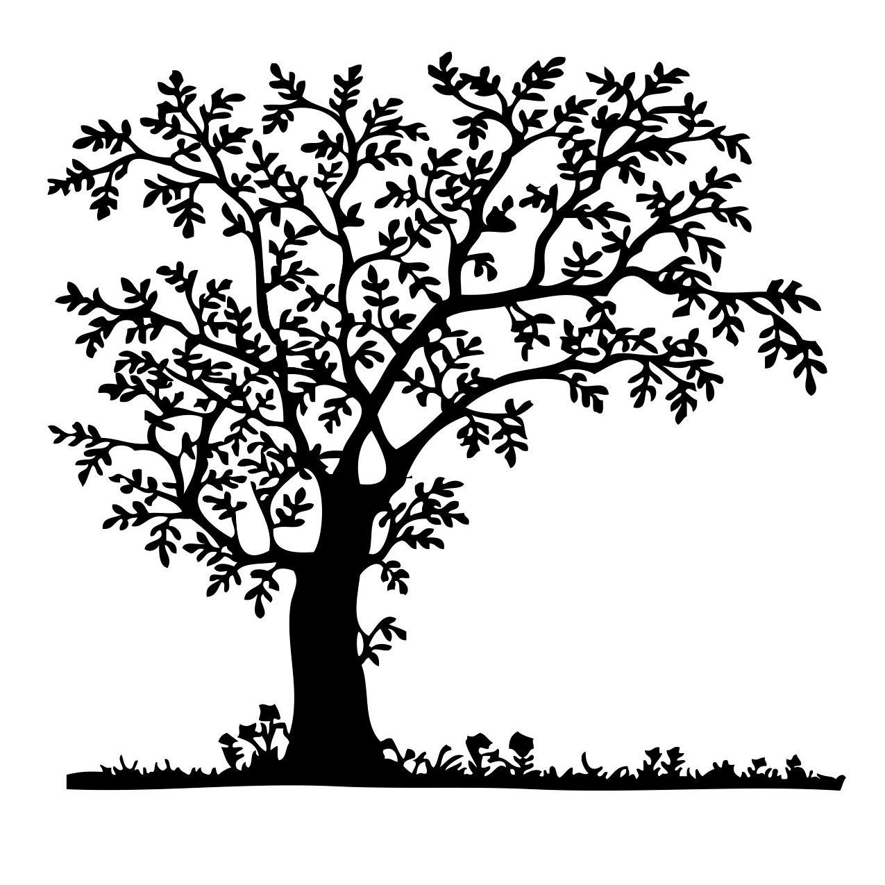 CSideAlumni's profile picture. Everything Alumni Comets need to know!