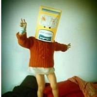 Noid (@noidcc) 's Twitter Profile