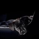 Michelle Hepp - @9170c6f00346471 - Twitter