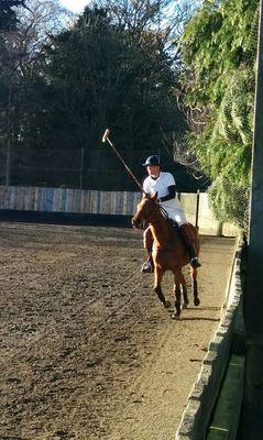 Polo & Golf Fanatic and Marketing Technologist.