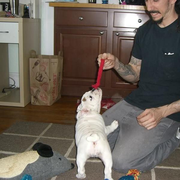 whats most important to me? my family, my dogs, man u, ...and beer!