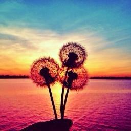 diyorsun.
