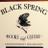 BlackSpringBs's profile image