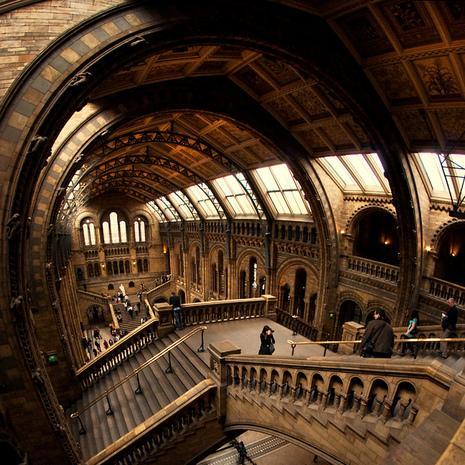 NullableVoid's profile picture. 