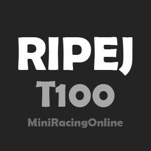 Campeonato Ripej T100 del juego #MiniRacingOnline. https://t.co/oii5399PXx