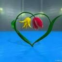 @57cskn (@57Dul) Twitter