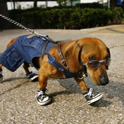 winnie9645's profile picture. 