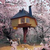 World Architecture (@world_architec) 's Twitter Profile