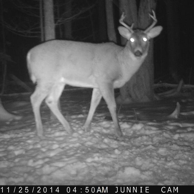 jadoberstein's profile picture. 