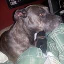 cale thompson - @leopoo420 - Twitter