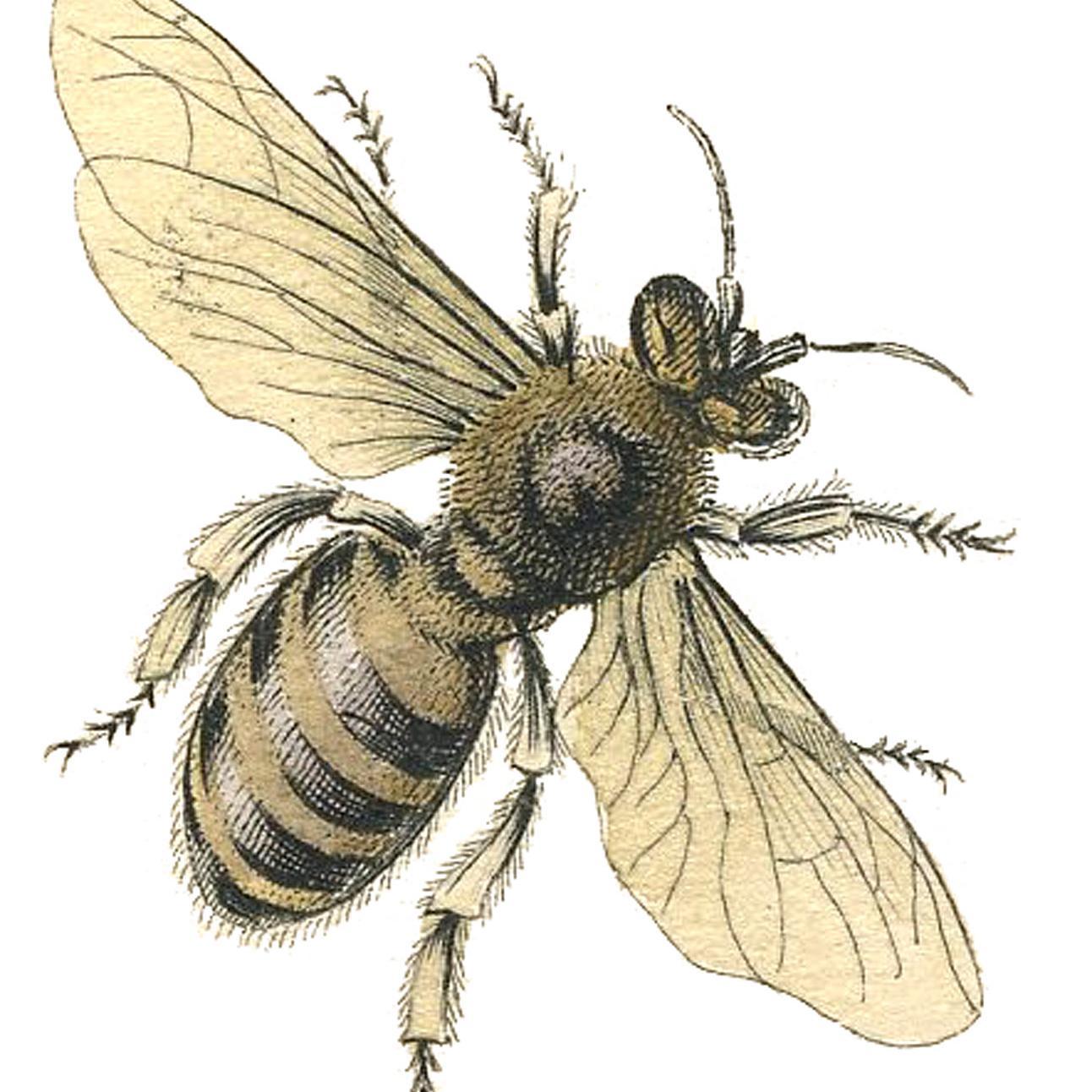 fffffffffttttt7's profile picture. 