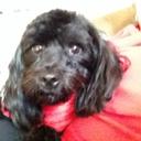 Kay Bowden - @kbowden53 - Twitter