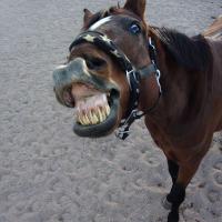 Dude Fantastic (@lemondc1) 's Twitter Profile