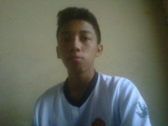 Fans Sejati Manchester united