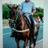 nachopalacio11's profile image