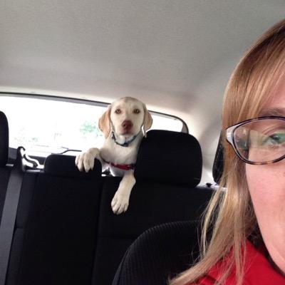 ithacalauren's profile picture. 