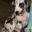 Laura Steward - @77Lauraann - Twitter