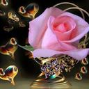 hopa (@028450433) Twitter