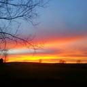 Peter Bergman - @PebbenPeter - Twitter