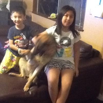 I'm a total gamergirl and all I like to play is Minecraft. I also like to watch SSundee, IBallisticsquid, and Stampylongnoes. P.S I Follow Back!!!!  Like My Dog