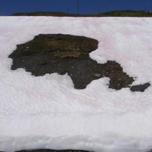 Mario_malu's profile picture. 