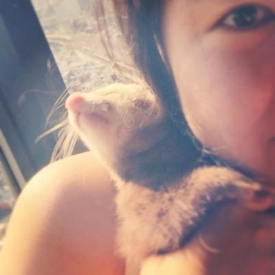 echozhazha's profile picture. 吾又是雜饞老胚 又是雜剛大 伐要忒吾刚道理，嗯哼？