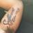jake4tats's profile image