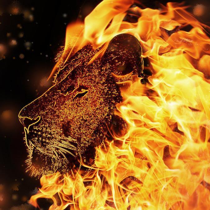 twinstro22's profile picture. 1197Ent. (ElevenNinetySevenEnt@gmail.com) #shreddedmemories #shanghaiModels