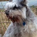 Rob Gates - @Robthegate - Twitter