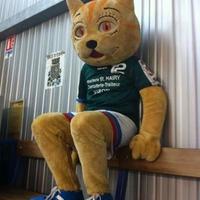 CA Evron Handball (@caevronhandball) 's Twitter Profile