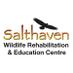 Salthaven Wildlife (@salthaven_org) Twitter profile photo