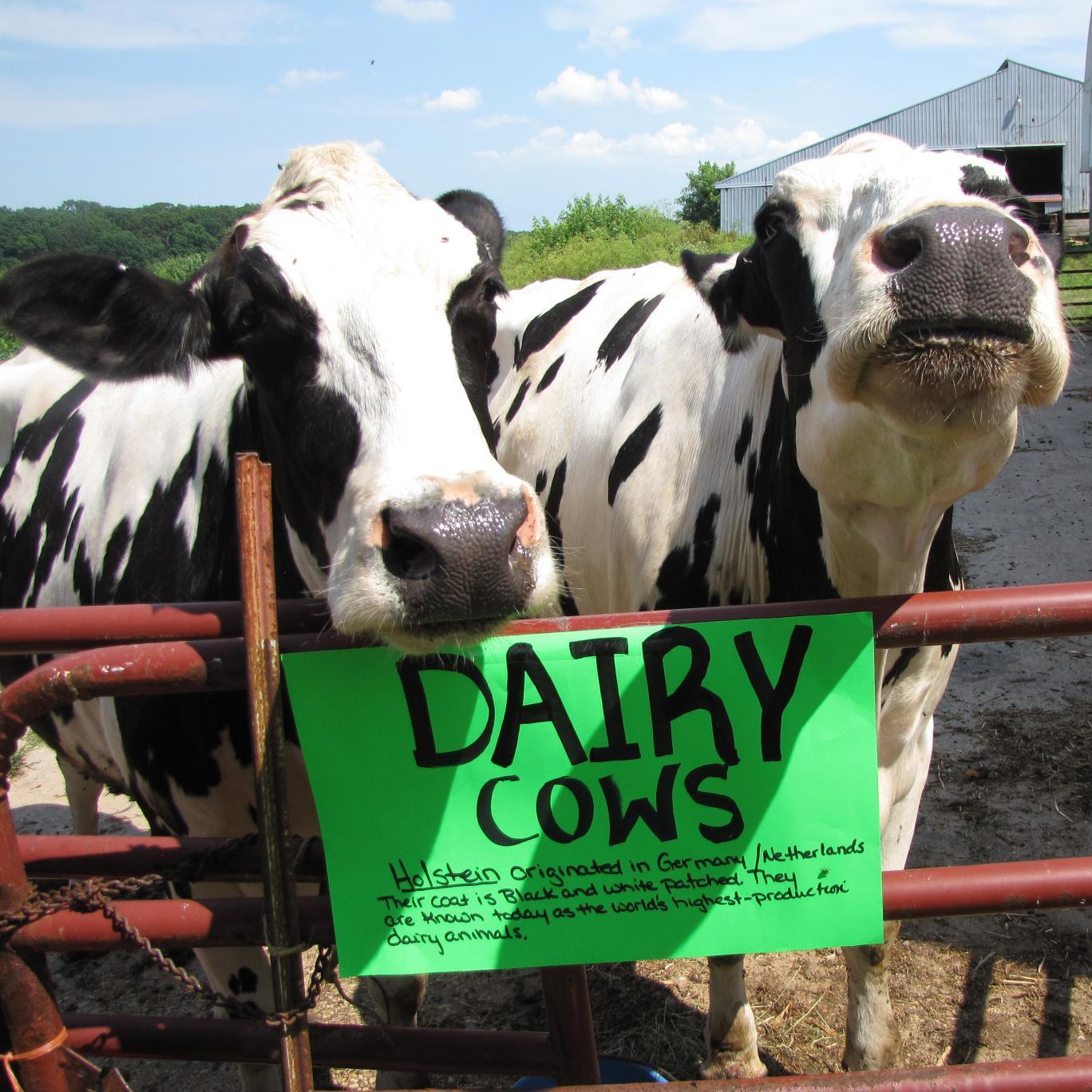 hawkshillcream's profile picture. We have hand-crafted raw milk cheeses and creamy soft serve ice cream, a pumpkin patch & fall festivities. We have parties here or cater parties at your place.