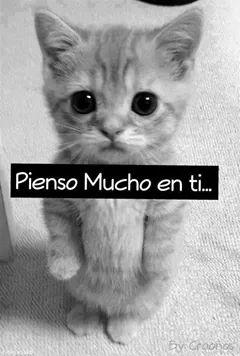 Mtz03Jesus's profile picture. i love you