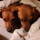 Nancy Turnbow - @TurnbowNancy - Twitter