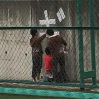 まさきべーあお (@ma_sa_428) 's Twitter Profile