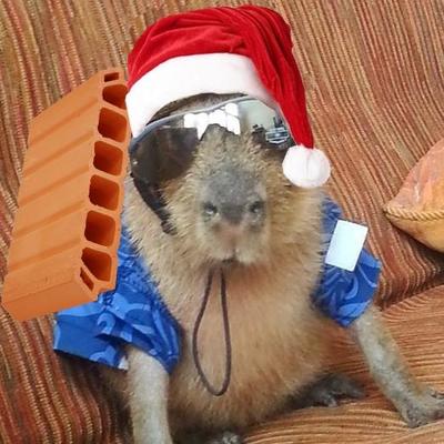 Foto aproximada da cabeça de uma capivara enquanto ela move suas