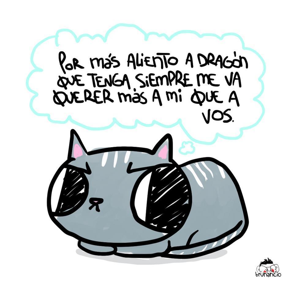 Amigosanimales1's profile picture. Los animales primero ♡