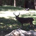 dan cantu - @Dan196440Dan - Twitter