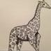 Giraffe lives matter (@cherry_popins69) Twitter profile photo Giraffe lives matter (@cherry_popins69) Twitter profile photo