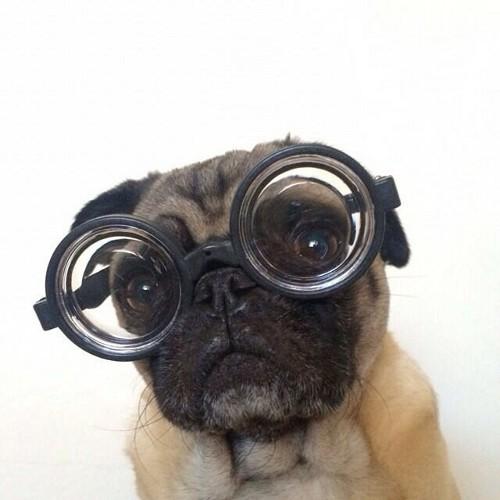 laurajbald's profile picture. 