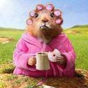 Debbie Beaver - @mimidabeav - Twitter