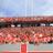 wpn_nation's profile image