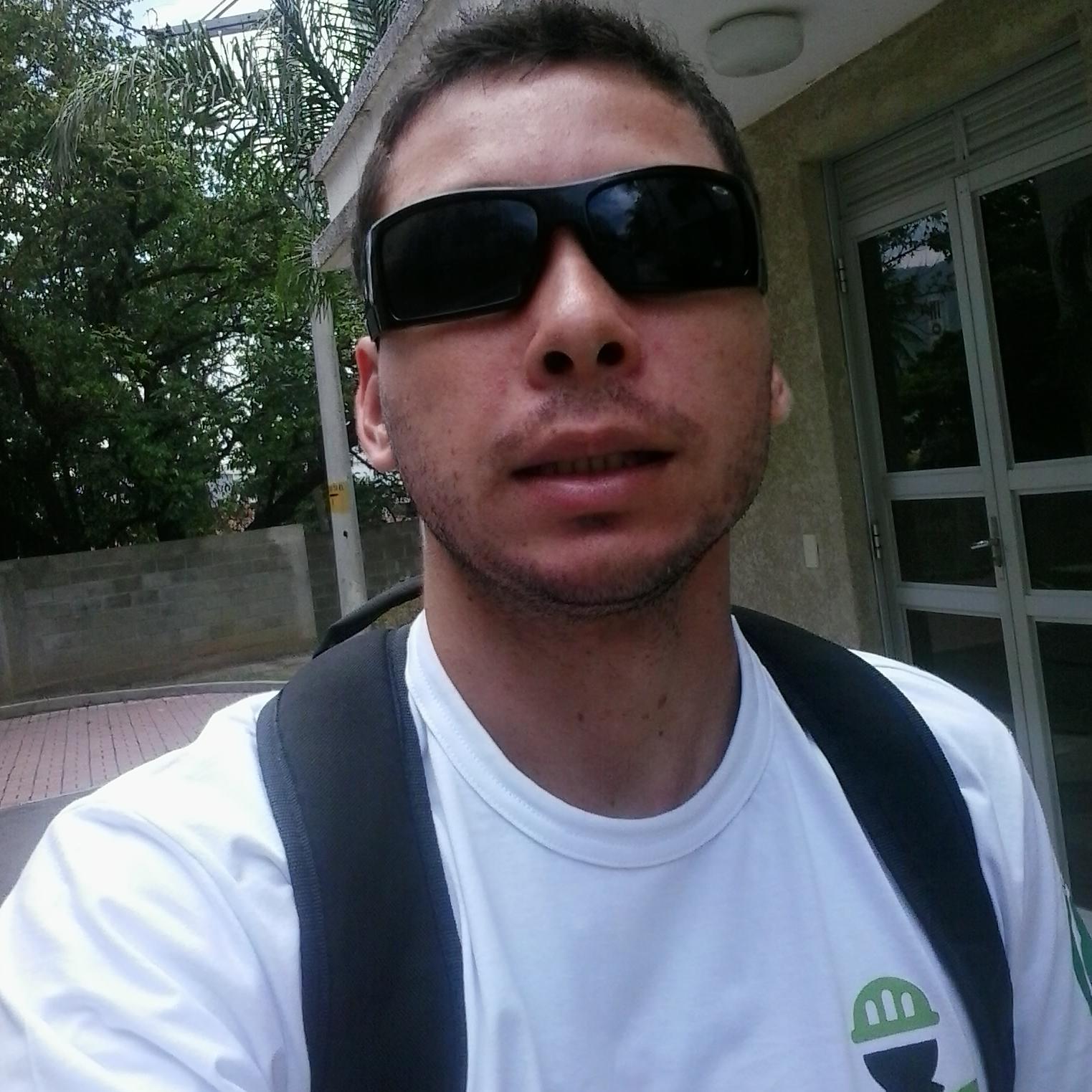 Técnico em Segurança do trabalho -Promotor Digital da Loomadee.e do Imagem Folheados.
