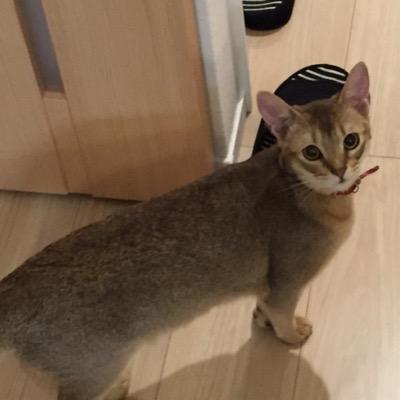 よろしくでーす！