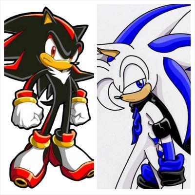 hey sup guys im AustinTheHedgehog im the fastest sword weilder alive / age: 18/ straight/ single/theme song: Endless Possibilities// Shadow: taken /