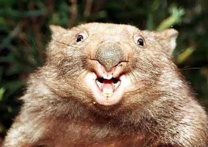 Tom_Michaels's profile picture. Eavesdrop at the office and post the best tidbits on the web for the world to see.