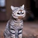 fabio gutierrez o - @fadi7999 - Twitter