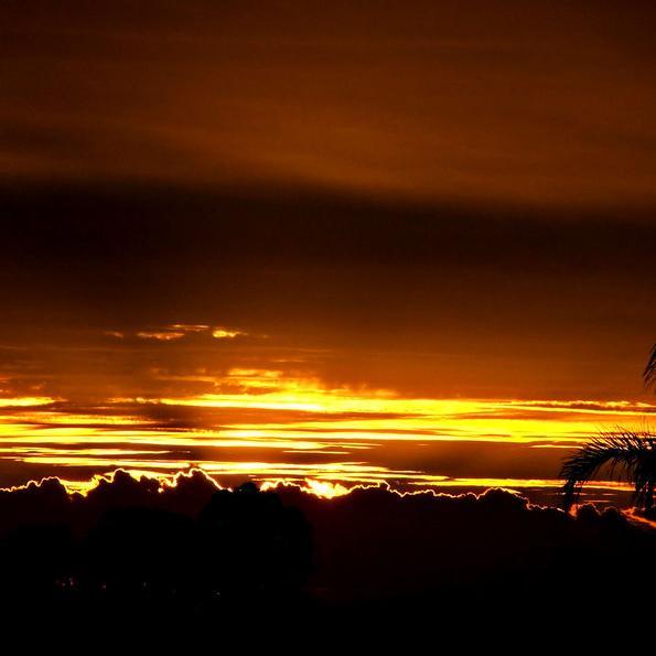 southernvision1's profile picture. 