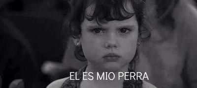 15. sumamente inestable . mas dolor que felicidad .