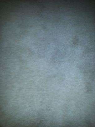 FeldmannGreg's profile picture. 